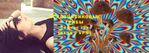 a pvp Белоозёрский